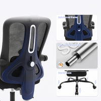 Chaise de Bureau Ergonomique en Maille, Support Lombaire, Noir, Gris & Beige