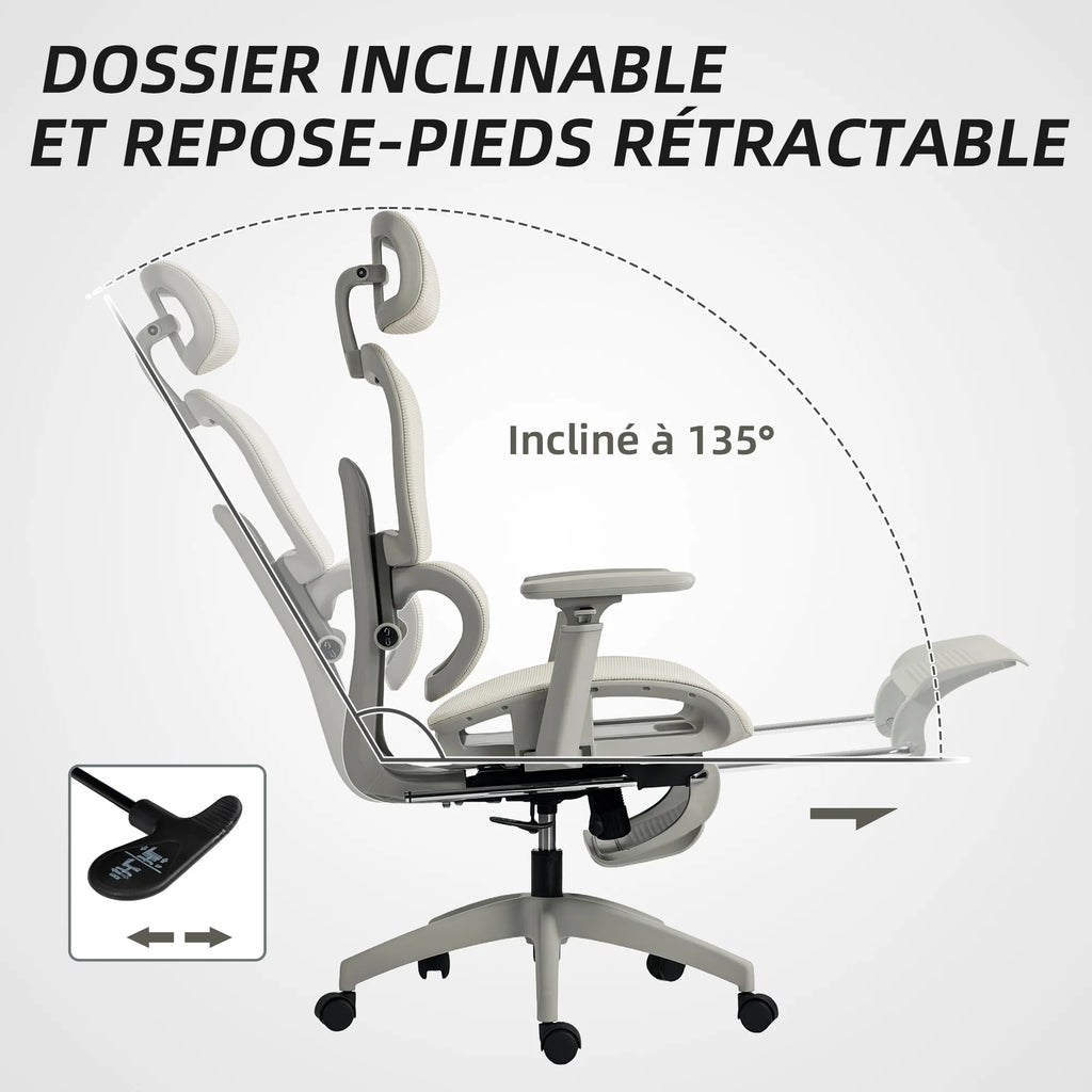 Ergo Chaise de Bureau Ergonomique en Maille