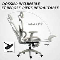 Ergo Chaise de Bureau Ergonomique en Maille