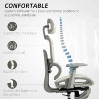 Ergo Chaise de Bureau Ergonomique en Maille
