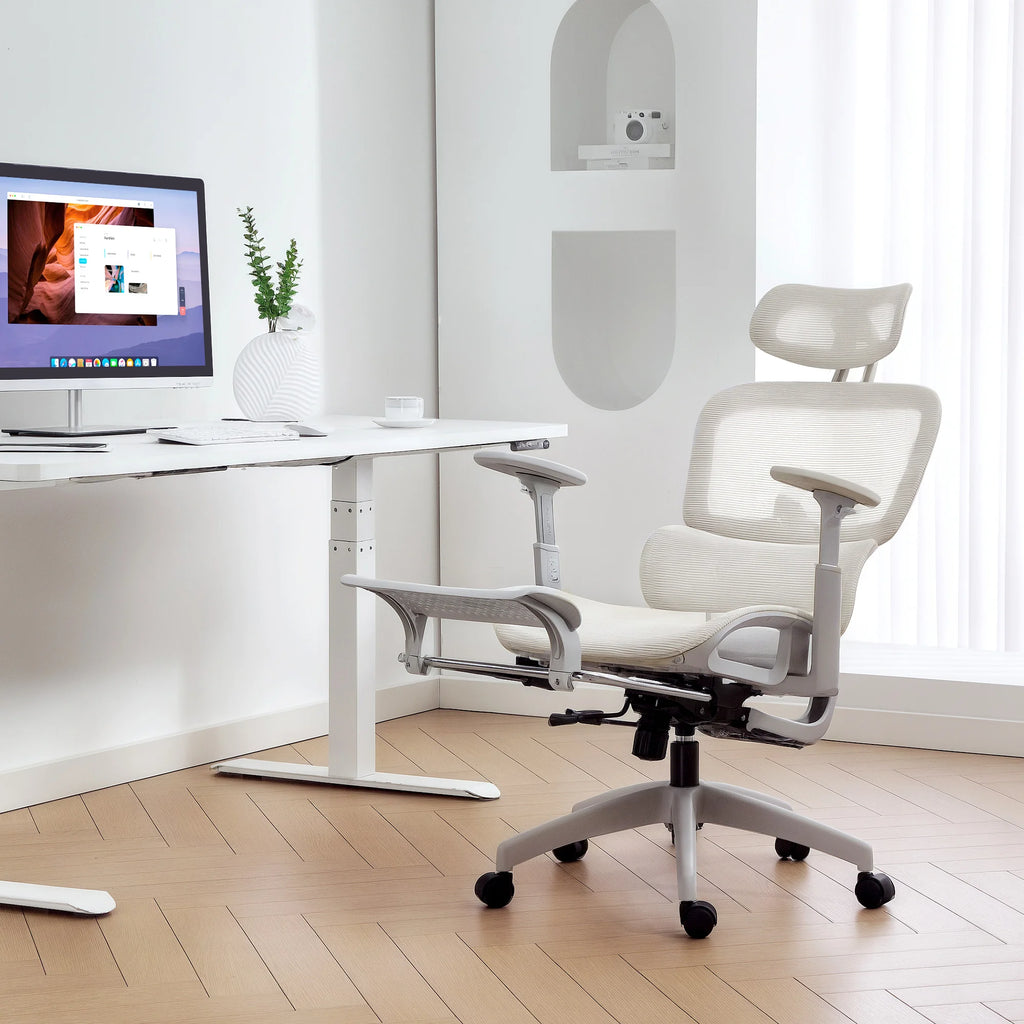Ergo Chaise de Bureau Ergonomique en Maille