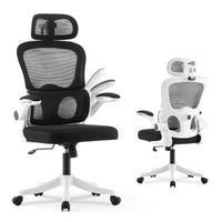 Ergo Chaise Ergonomique Bureau, Support Lombaire Réglables, Noir & Blanc